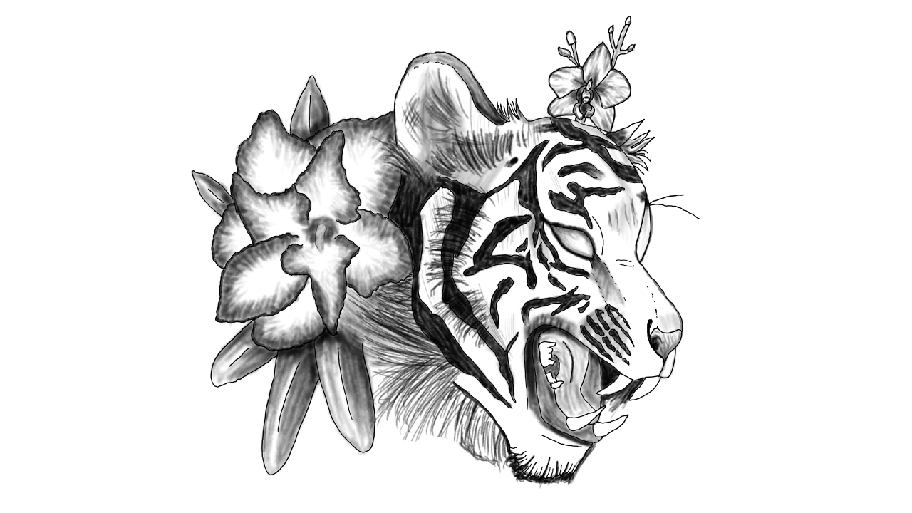 White Lightning Tiger